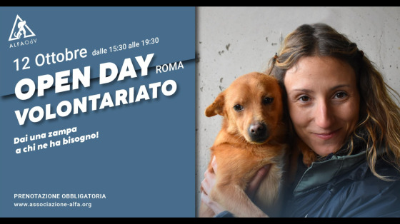 Dai una zampa agli animali abbandonati