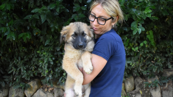 Dai una zampa agli animali abbandonati