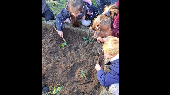 ColtiAzioni l’orto a scuola