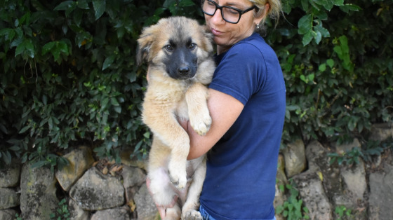 UNA FAMIGLIA PER GLI ANIMALI ABBANDONATI