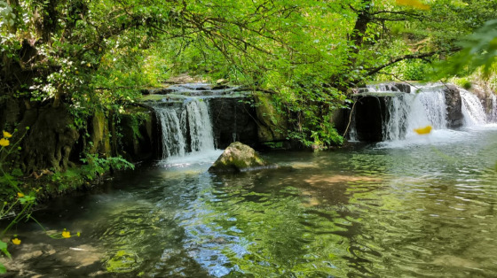 Volontariato Olistico-Sociale: Natura, Comunità e Bene Comune In Azione
