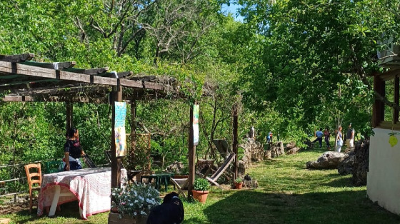 Volontariato Olistico-Sociale: Natura, Comunità e Bene Comune In Azione