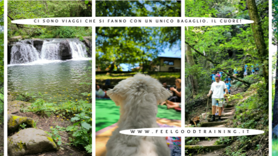 Volontariato Olistico-Sociale: Natura, Comunità e Bene Comune In Azione