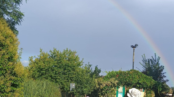 Volontariato Olistico-Sociale: Natura, Comunità e Bene Comune In Azione