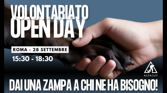 Dai una zampa agli animali abbandonati