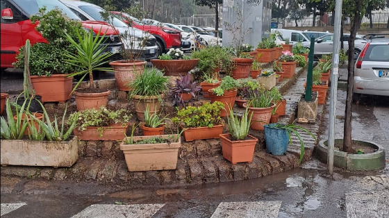 Piazza Certaldo in fiore