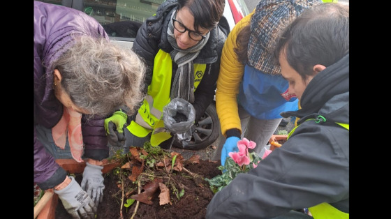 Piazza Certaldo in fiore