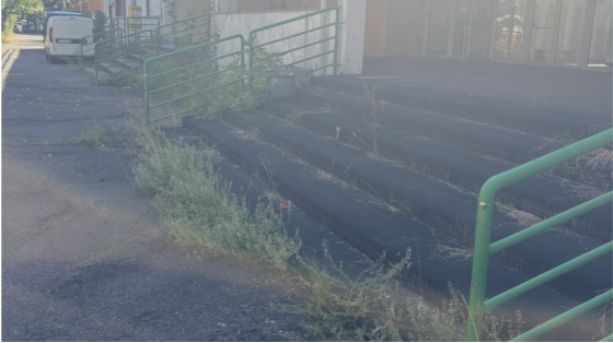 Giornata di giardinaggio e pulizia