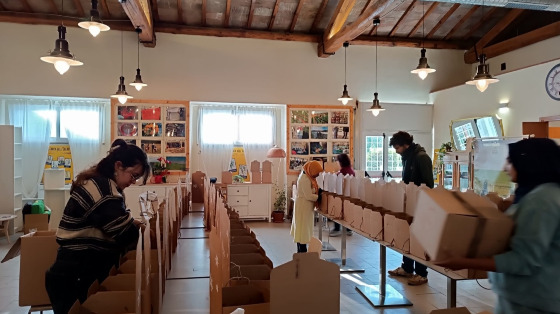 Confezioniamo articoli Natalizi. Ti va di darci una mano?