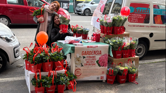 Bentornata GARDENSIA