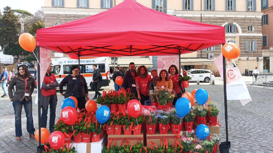 Bentornata GARDENSIA