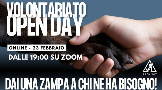 Dai una zampa agli animali abbandonati