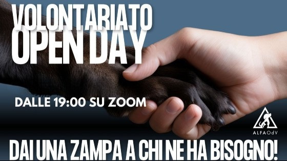 Dai una zampa agli animali abbandonati