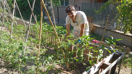 Facciamo del nostro quartiere un giardino