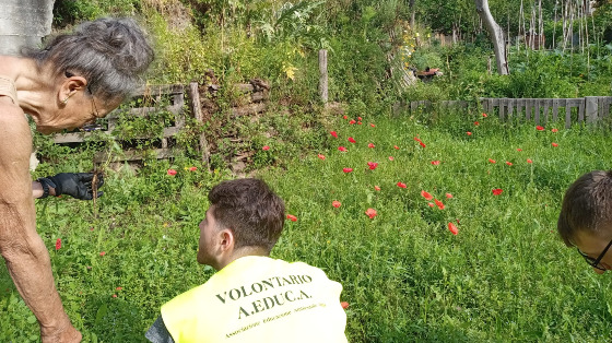Facciamo del nostro quartiere un giardino