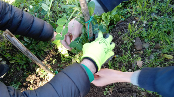 Facciamo del nostro quartiere un giardino