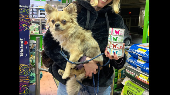 Raccolta per i Gatti di Val Cannuta (Majestic Pet's)