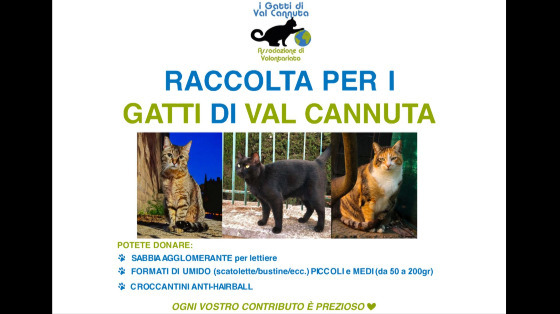Raccolta per i Gatti di Val Cannuta (Elite-Pet)