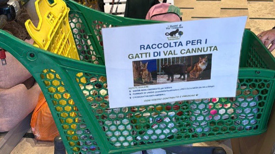 Raccolta per i Gatti di Val Cannuta (Arcaplanet Colli Portuensi)