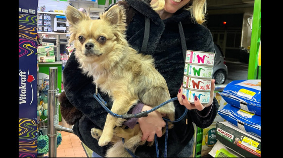 Raccolta per i Gatti di Val Cannuta (Arcaplanet Acquafredda)