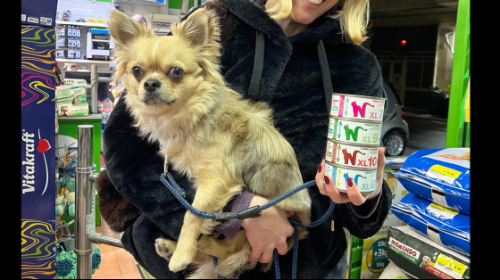 Raccolta per i Gatti di Val Cannuta (Arcaplanet Pineta Sacchetti)