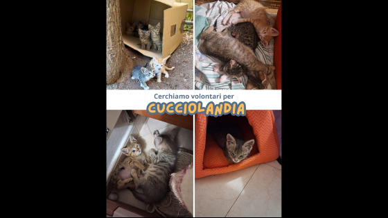 Cucciolandia