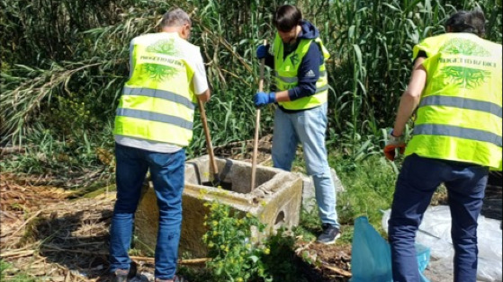 Non dimentichiamoci dei nostri amici alberi
