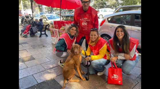 La Mela di AISM