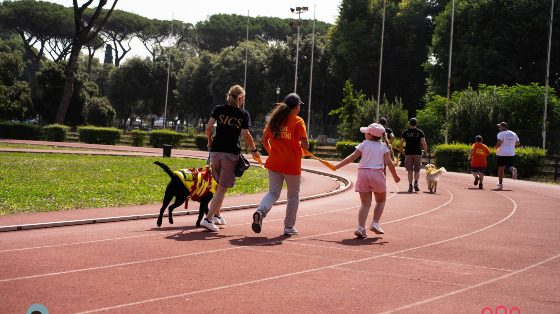 Festival dello Sport Inclusivo (terza edizione)