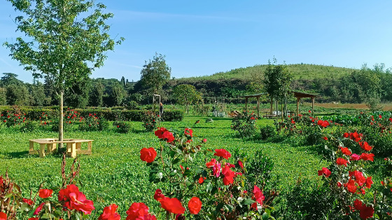 C’è un giardino che ti aspetta!!