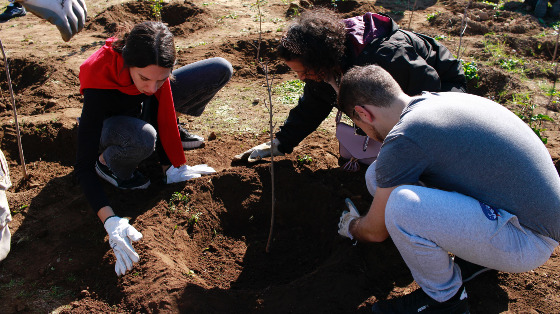 Semina di nuove ghiande e semi nel vivaio forestale didattico la “Fabbrica dell'Ossigeno”
