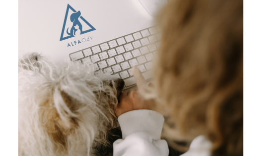 Diventa volontario del Settore Cyber di ALFA!